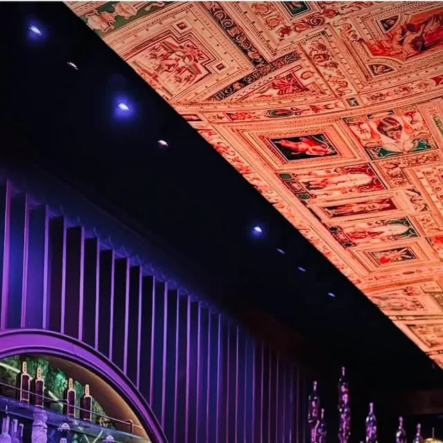Het beschilderde plafond boven de bar van Mayfair